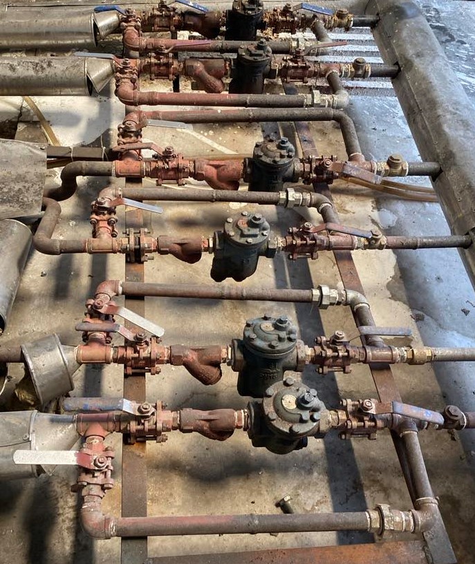 454710830 8347951605312922 7447234426635235392 n